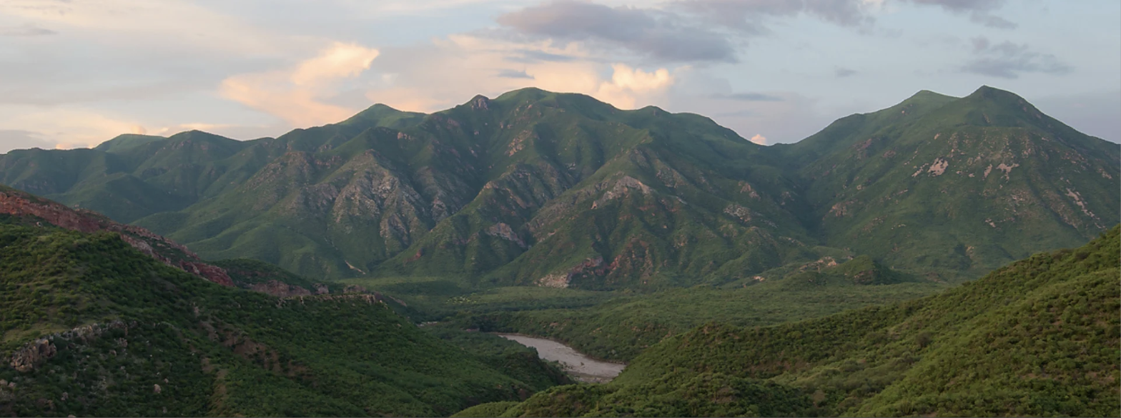 Alma del Jaguar