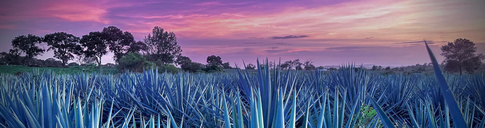 Tierra de Ensueño